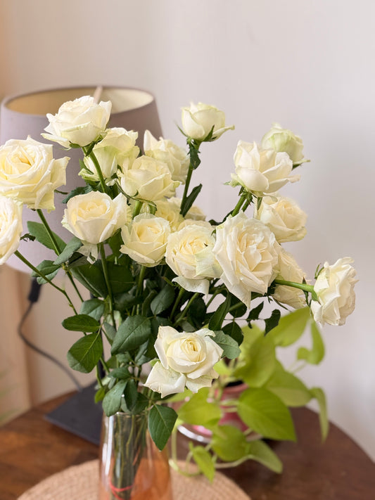 Zodiac Classic bunch 1 month Subscription