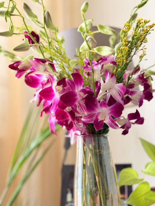 Premium 1 month Subscription